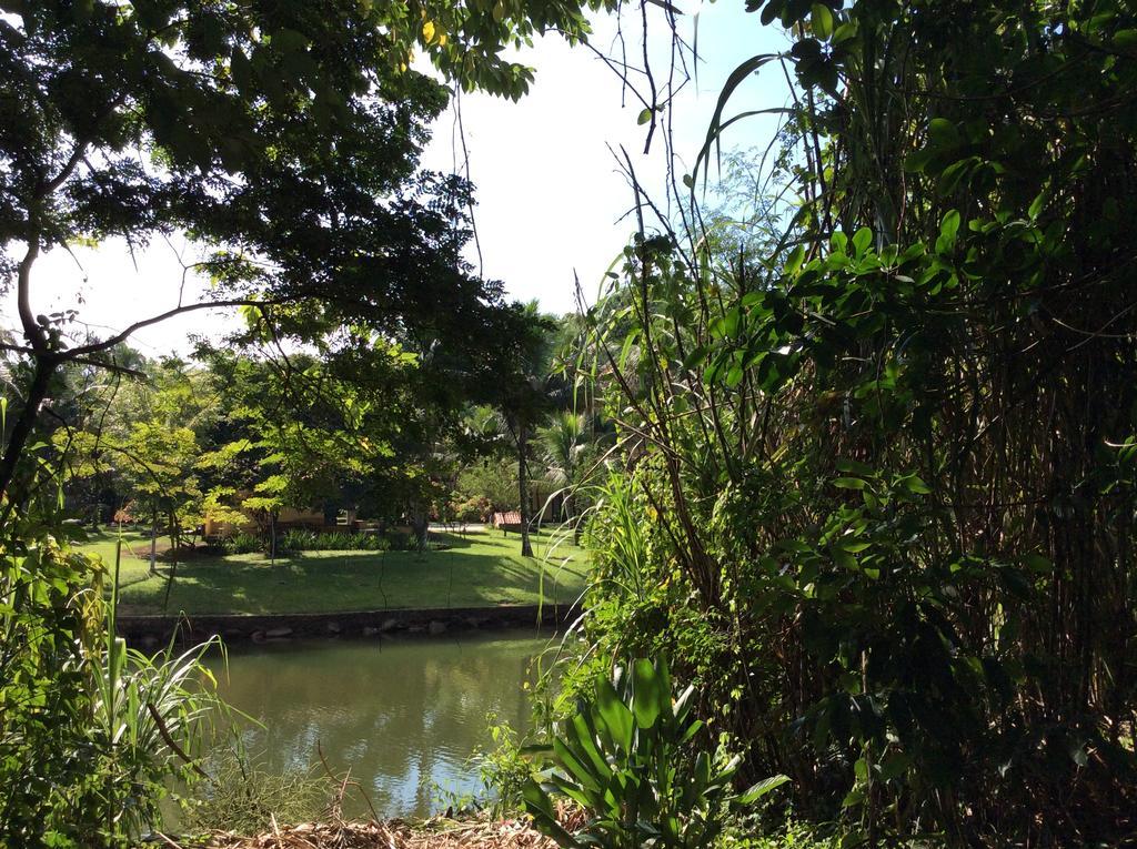 Pousada Villa Del Rey 帕拉蒂 外观 照片